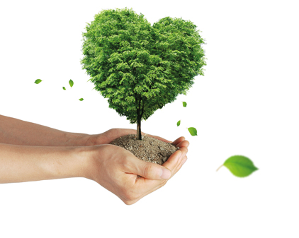 Iniciación en la Educación Ambiental